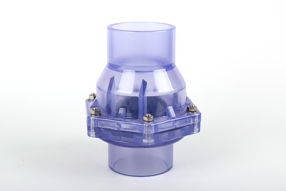 长顺透明翻板式止回阀